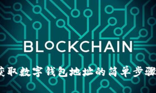 新手指南：获取数字钱包地址的简单步骤与注意事项