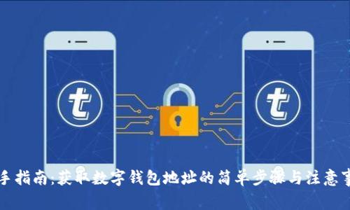 新手指南：获取数字钱包地址的简单步骤与注意事项