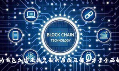 华为钱包加密无法复制的原因及解决方案全面解析