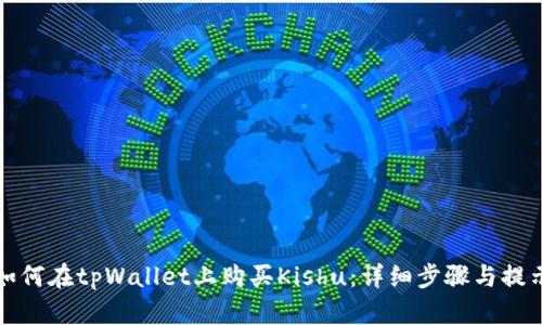 如何在tpWallet上购买Kishu：详细步骤与提示