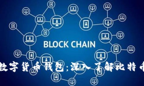 如何选择适合你的数字货币钱包：深入了解比特币钱包的种类与功能