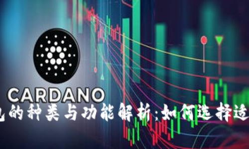 BHD数字钱包的种类与功能解析：如何选择适合你的钱包？