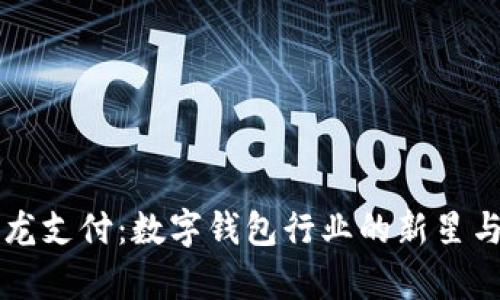全面解析龙支付：数字钱包行业的新星与未来展望