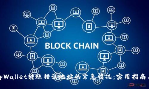 如何应对tpWallet转账错误地址的紧急情况：实用指南与应对策略
