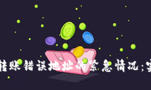 如何应对tpWallet转账错误地址的紧急情况：实用指南与应对策略