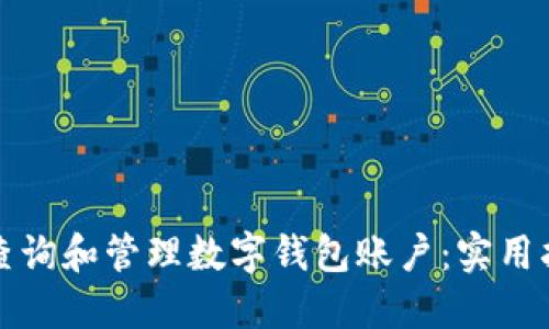 如何高效查询和管理数字钱包账户：实用指南与技巧