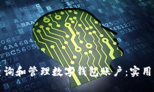 如何高效查询和管理数字钱包账户：实用指南与技巧