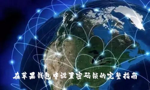 在苹果钱包中设置密码锁的完整指南