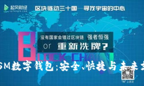 biatoti探秘SM数字钱包：安全、快捷与未来支付的新选择