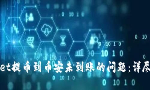 如何解决tpWallet提币到币安未到账的问题：详尽指南与步骤解析