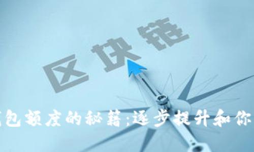 破解数字钱包额度的秘籍：逐步提升和你的资金管理