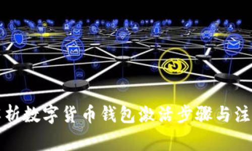 全面解析数字货币钱包激活步骤与注意事项