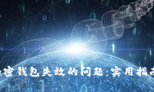  如何解决模拟加密钱包失效的问题：实用指南与常见故障排查