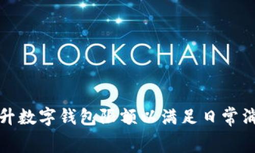 如何提升数字钱包限额以满足日常消费需求