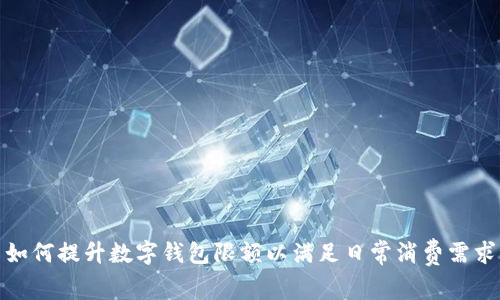 如何提升数字钱包限额以满足日常消费需求