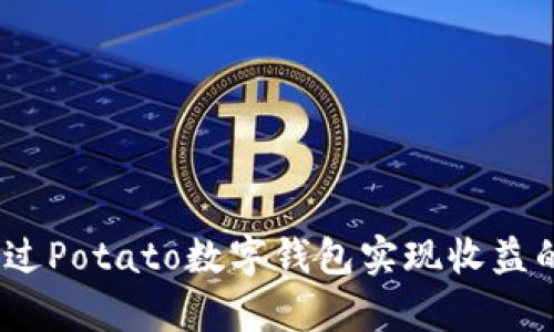 全面解析：通过Potato数字钱包实现收益的策略与实践