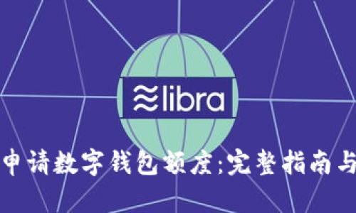 如何高效申请数字钱包额度：完整指南与实用技巧