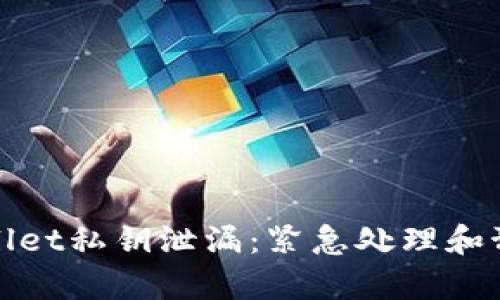 如何应对tpWallet私钥泄漏：紧急处理和预防措施全攻略