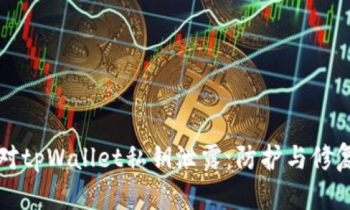 如何应对tpWallet私钥泄露：防护与修复全指南