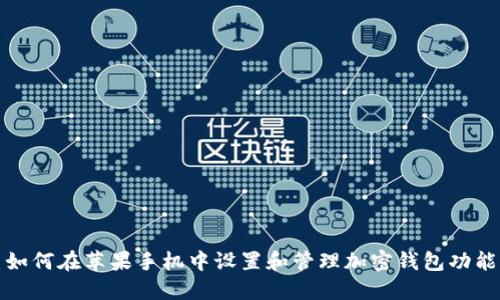 如何在苹果手机中设置和管理加密钱包功能