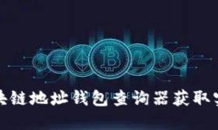如何使用区块链地址钱包查询器获取实时交易信