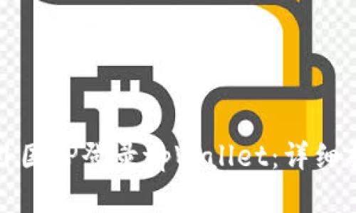 如何安全使用外国IP登录tpWallet：详细指南与实践技巧