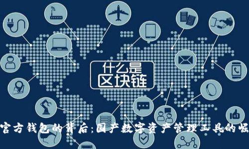 TP官方钱包的背后：国产数字资产管理工具的崛起