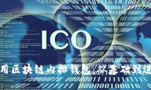 如何选择和使用区块链内排钱包：从基础到进阶的全面指南