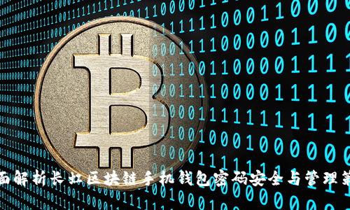全面解析长虹区块链手机钱包密码安全与管理策略