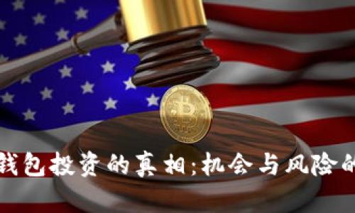 揭开数字钱包投资的真相：机会与风险的全面解析