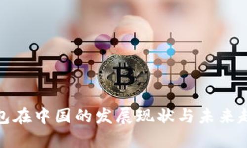 数字钱包在中国的发展现状与未来趋势分析