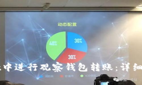 如何在tpWallet中进行观察钱包转账：详细步骤与注意事项