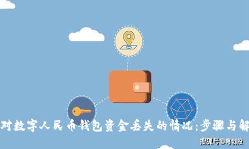 如何应对数字人民币钱包资金丢失的情况：步骤与解决方案
