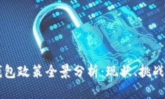 印度数字钱包政策全景分析：现状、挑战与未来