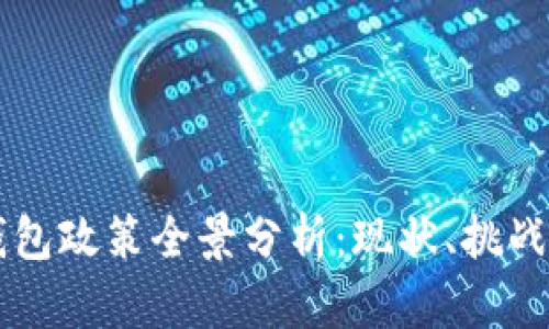 印度数字钱包政策全景分析：现状、挑战与未来发展