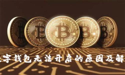 解密数字钱包无法开启的原因及解决方法