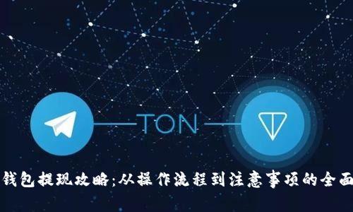 数字钱包提现攻略：从操作流程到注意事项的全面指南