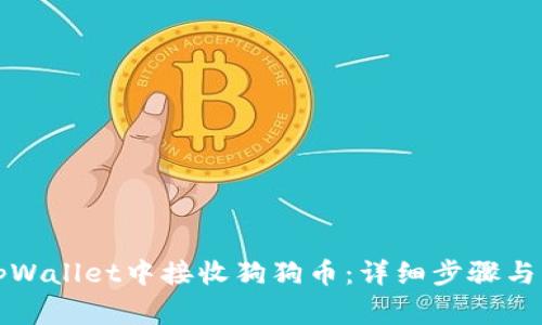 如何在tpWallet中接收狗狗币：详细步骤与注意事项