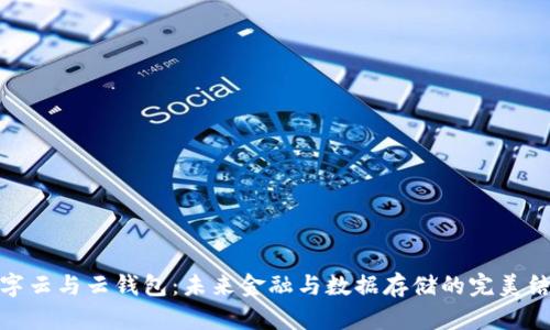 数字云与云钱包：未来金融与数据存储的完美结合