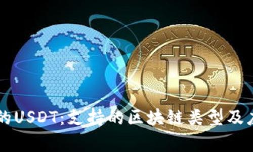 tpWallet中的USDT：支持的区块链类型及应用场景解析