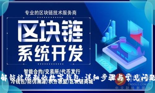 如何解锁被限制的数字钱包：详细步骤与常见问题解析
