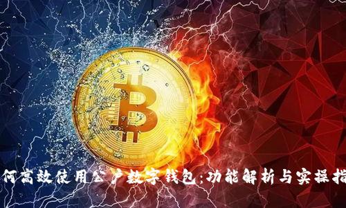 如何高效使用公户数字钱包：功能解析与实操指南
