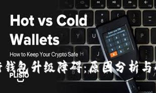 数字银行钱包升级障碍：原因分析与解决方案