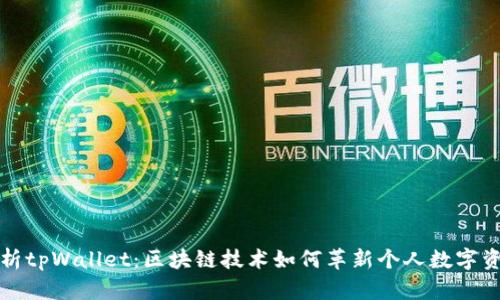 全面解析tpWallet：区块链技术如何革新个人数字资产管理
