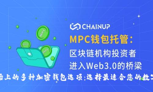 : 深入探索当前市场上的多种加密钱包选项：选择最适合您的数字资产管理解决方案