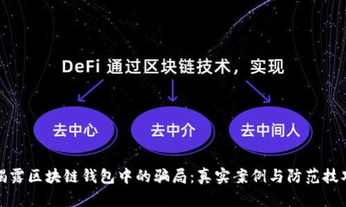 揭露区块链钱包中的骗局：真实案例与防范技巧