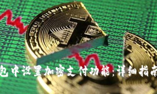 如何在零钱包中设置加密支付功能：详细指南与安全提示