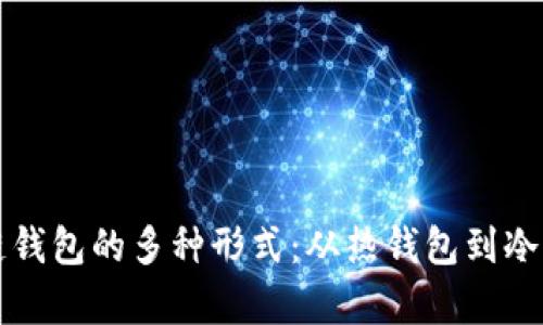 深入分析区块链钱包的多种形式：从热钱包到冷钱包的实用指南