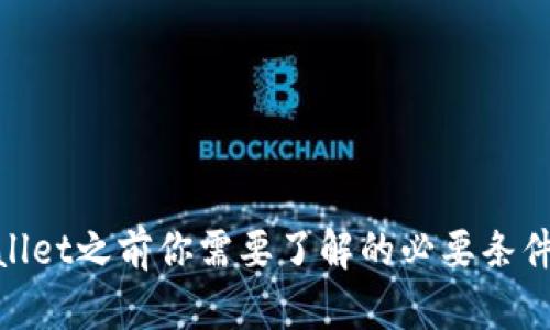 : 使用tpWallet之前你需要了解的必要条件与准备步骤