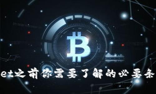 : 使用tpWallet之前你需要了解的必要条件与准备步骤
